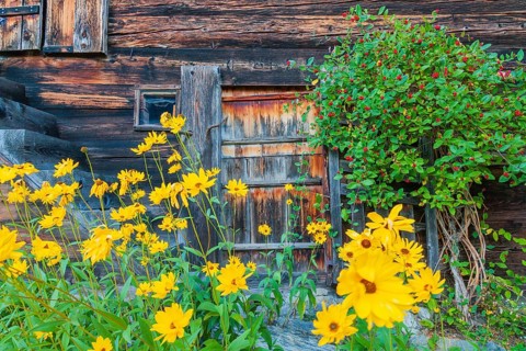 Farmhouse, Historic village of Mühlebach, Valais, Switzerland, Europe