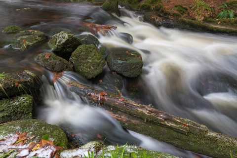 Kleine Ohe creek below Waldhaeuser village in the Bavarian Forest Nationalpark. Flowing water and