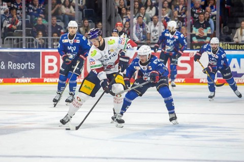DEL, German Ice Hockey League season 2024/25, matchday 52: Adler Mannheim vs Eisbären