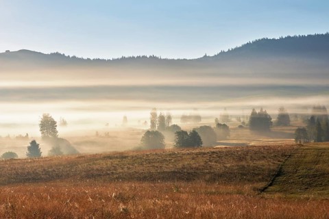 High moor in autumnal discolouration, Rothenthurm, Canton Schwyz, Switzerland, Europe