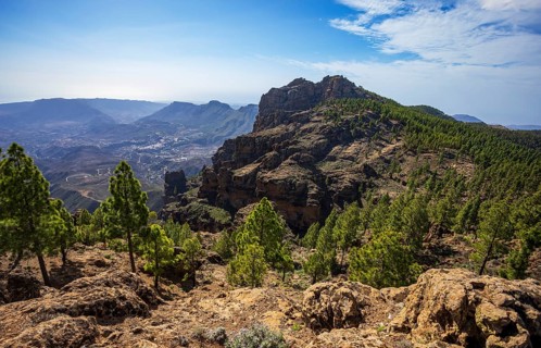 View into the valley of the Caldera de Tirajana, pine forest around the summit of El Campanario,