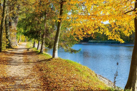 Path around the castle pond in autumn, castle park of Schloss Hermsdorf, Ottendorf-Ockrilla,