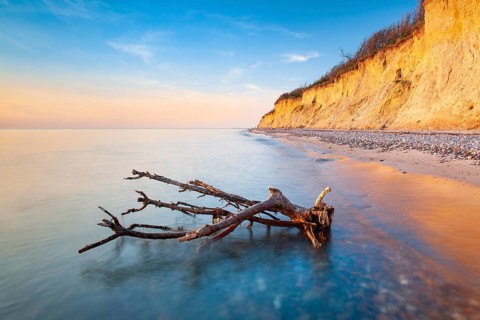 The high shore in the evening light, driftwood on the beach with pebbles, cliffs near Ahrenshoop,