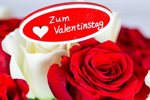 Valentine's greetings: Warm Valentine's Day greetings with a bouquet of white and red roses