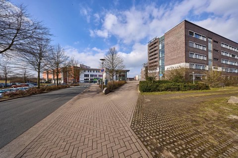 Town hall, trees, hedge, lantern, pavement made of concrete paving stones, asphalt road, blue sky