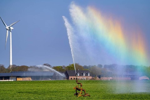 Artificial irrigation of a cereal field in April, with a sprinkler system, long dry spell in spring