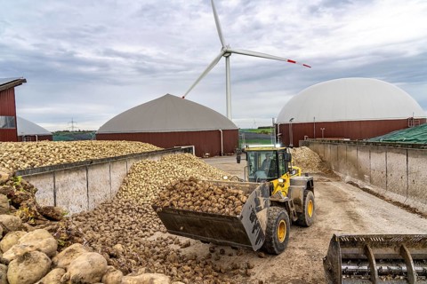Biogas plant produces gas from various biomass, here the sugar beet storage, the electricity is