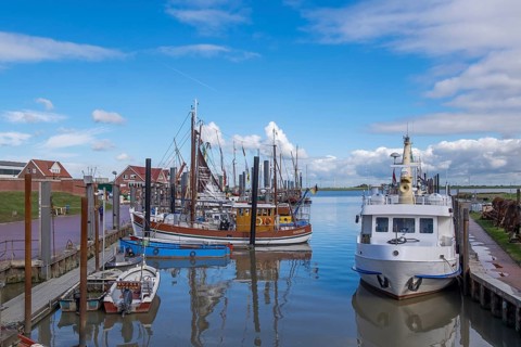 Crab cutters and boats in the harbour of Ditzum, Rheiderland, East Frisia, Lower Saxony, Germany,