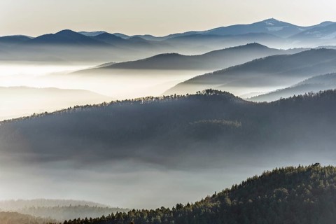Sea of clouds in the mountains. Bas rhin, Alsace, France, Europe