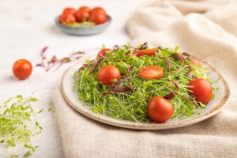Vegetarian vegetables salad of tomatoes, celery, onion microgreen sprouts on gray concrete