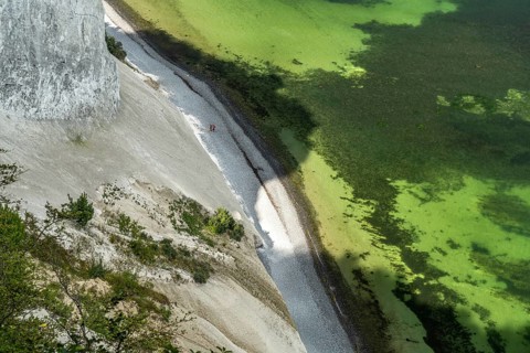 Cliffs and chalk cliffs Møns Klint, Mön Island, Denmark, Europe