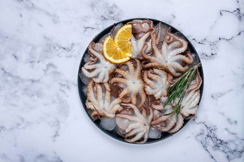 Fresh baby octopuses on ice, garnished with lemon and rosemary, on a marble table, no people