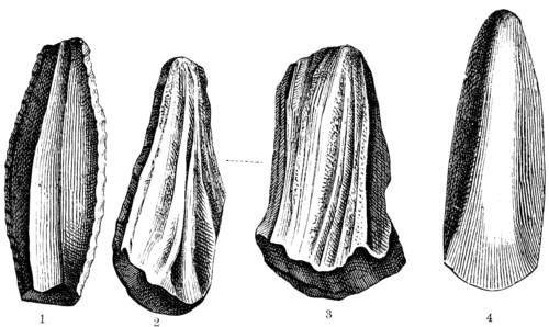 Worked stone tools, stone core (1), whetstone (2 and 3), sharpened stone axe (4), Stone Age,