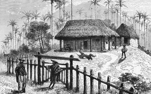 Agriculture of the humid savannahs, Llanos, the northern plains or hill country, small farmers,