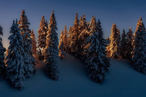 Sunrise snow tour on the Tegelberg in the Allgäu in Bavaria. Winter Wonder Land, Germany, Europe