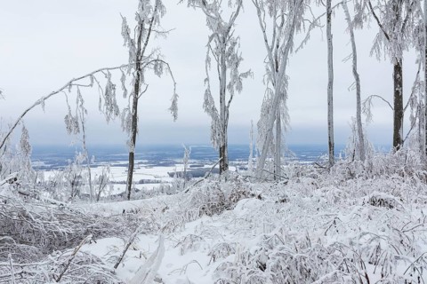 Winter landscape with view on the mountain top of Czorneboh, trees thickly covered with snow and