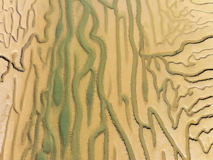 Network of channels and streams at low tide. In the marshland adjacent to the Odiel river. Aerial