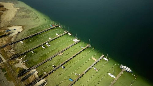 Extremely low water on the island of Reichenau in Lake Constance April 2025