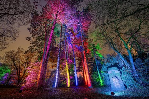 From 9 December 2023 to 14 January 2024, the Palmengarten in Frankfurt am Main will host the Winter