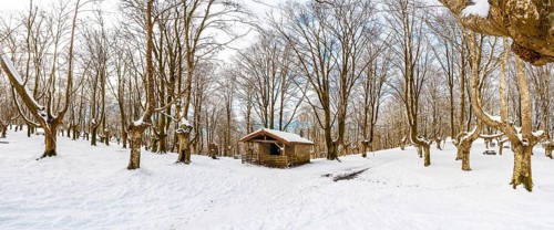 Panoramic view of the refuge next to the trees of the snow-covered Oianleku Natural Park in the