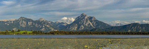 Lake Hopfensee, lakeshore with numerous water lilies, behind it the Tegelberg and the Säuling,