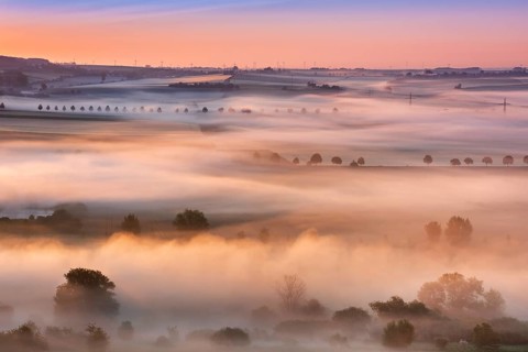 Cultural landscape at sunrise, morning fog shines in the first light, Unstrut valley, Freyburg