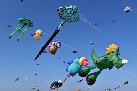 Kite festival, flying kites on Schönberg beach, Schleswig-Holstein, Germany, Europe