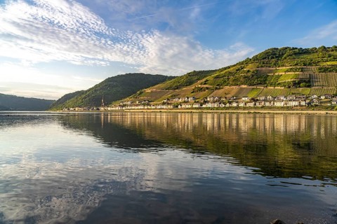 View over the Rhine to Lorch, Rheingau, World Heritage Site Upper Middle Rhine Valley, Hesse,