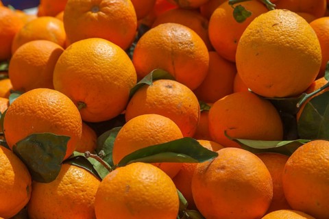 Fresh oranges under sunlight with green leaves, giving an impression of vitality and freshness,