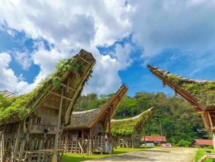 Old houses and pile dwellings with curved roofs, Tana Toraja, Rantepao, Sulawesi, Indonesia, Asia