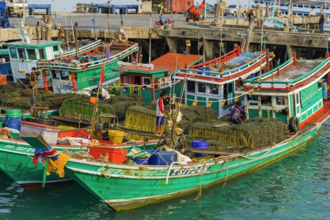 Colourful fishing boats, boat, ship, fishing boat, colourful, colourful, decorated, harbour, sea,