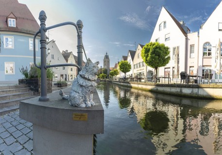 Bronze sculpture by Cornelia Brader: City tomcat Chicco at the city stream, behind it Our Lady's