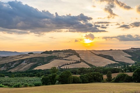 Typical Tuscan landscape in Val d'Orcia with hills, trees, fields, cypresses and farm road in