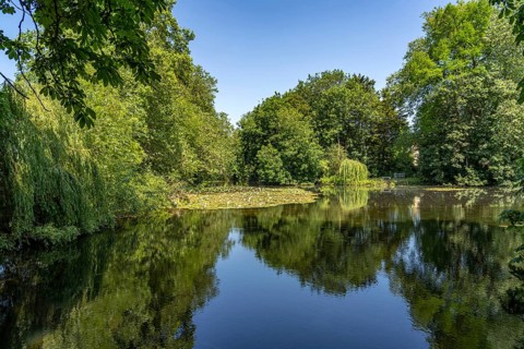 Pond in the park of Worcester College, University of Oxford, Oxfordshire, England, Great Britain