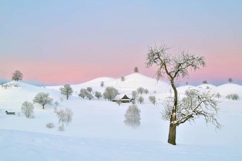 Snow-covered hilly landscape at dawn, Menzingen, Canton Zug, Switzerland, Europe