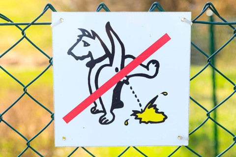 Verbotsschild Hundeklo an einem Zaun, Stolpen, Sachsen, Deutschland