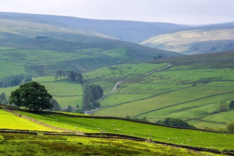 Farms over North Pennines, Cumbria, Durham, Northumberland, North Yorkshire, England, United