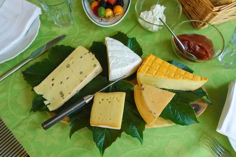 Cheese platter with different types of cheese, hard cheese arranged on vine leaves, knife,
