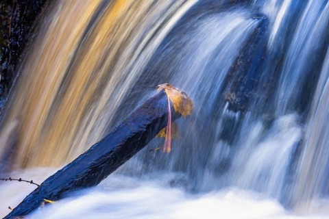 Waterfall with flowing water and autumn leaves on a wooden stick