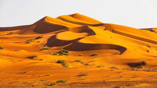 Wind-sculpted curved sand dunes in the Rub al Khali desert, Dhofar province, Arabian Peninsula,