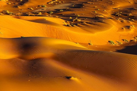 Wind-sculpted sand structure with green vegetation, in the Rub al Khali desert, Dhofar province,