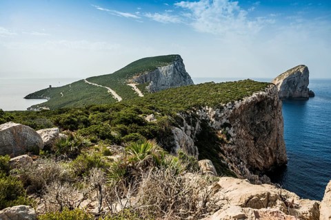 Coast with steep cliffs, Capo Caccia, near Alghero, Sardinia, Italy, Europe