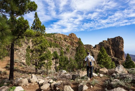 Hiker in the pine forest with view to the summit of Pico de las Nieves, Gran Canaria, Canary