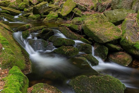 Kleine Ohe creek below Waldhaeuser village in the Bavarian Forest Nationalpark. Flowing water,