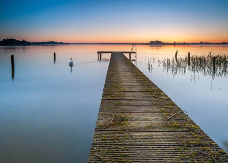 Wooden footbridge and swan at sunrise on Lake Schaalsee, Schaalsee Biosphere Reserve, Zarrentin,