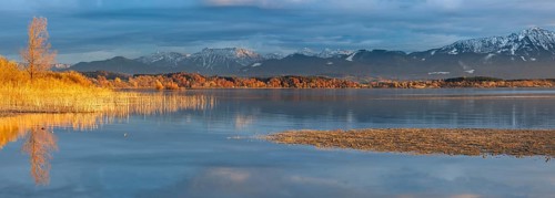 Untouched shore of Lake Chiemsee in autumn, reeds in the evening light, a gravel bank in front, the