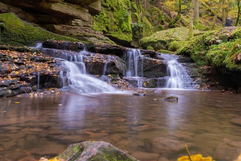 Small waterfall in a moss-covered forest with autumn leaves, Monbachtal, Bad Liebenzell, district