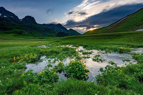 Summit in the morning light with dramatic clouds and marsh marigolds (Caltha) with stream in the