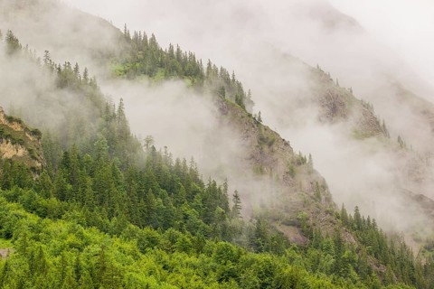 Wisps of mist cover the Karwendel mountains in the Großer Ahornboden nature reserve, Eng Valley,