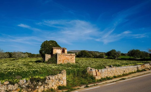 Landscape and nature in February, Majorca, Spain, Europe